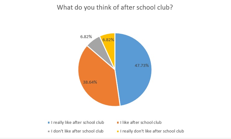 What do you think of after school club